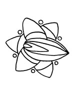 Mandala 1